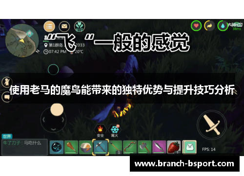 使用老马的魔鸟能带来的独特优势与提升技巧分析
