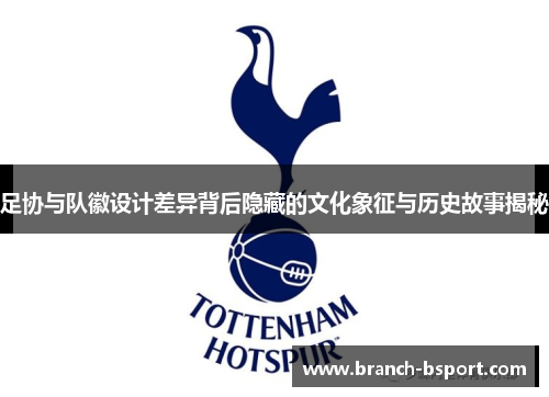 足协与队徽设计差异背后隐藏的文化象征与历史故事揭秘