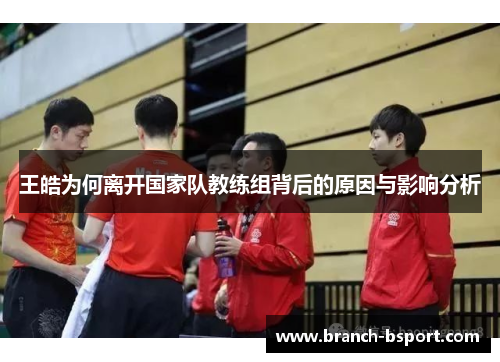 王皓为何离开国家队教练组背后的原因与影响分析 王皓为何离开国家队教练组背后的原因与影响分析