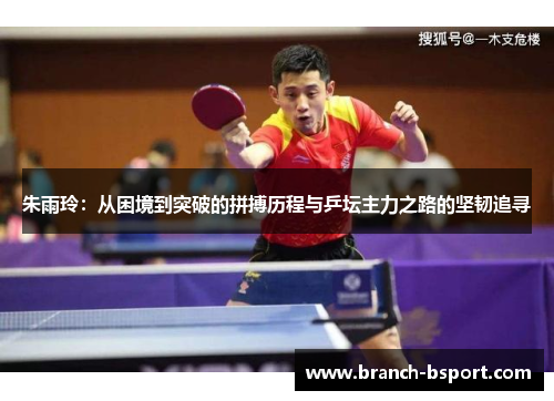 朱雨玲：从困境到突破的拼搏历程与乒坛主力之路的坚韧追寻