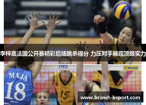 李梓嘉法国公开赛精彩后场跳杀得分 力压对手展现顶级实力 李梓嘉法国公开赛精彩后场跳杀得分 力压对手展现顶级实力
