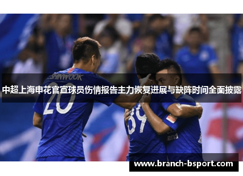 中超上海申花官宣球员伤情报告主力恢复进展与缺阵时间全面披露