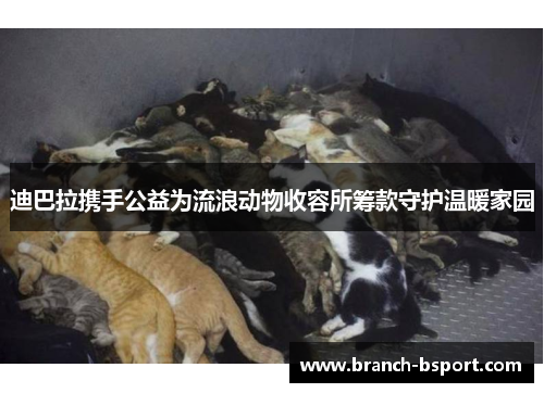 迪巴拉携手公益为流浪动物收容所筹款守护温暖家园