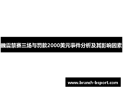 魏震禁赛三场与罚款2000美元事件分析及其影响因素 魏震禁赛三场与罚款2000美元事件分析及其影响因素